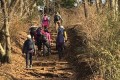 新春の登山に笑顔／神奈川同胞登山協会