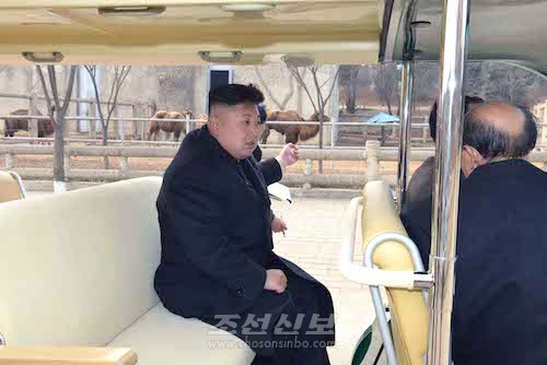 김정은원수님께서 새로 개건하고있는 중앙동물원을 돌아보시였다.(조선중앙통신)