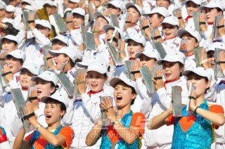 전국도대항군중체육대회-14 결승경기를 응원하는 각 도의 응원단 