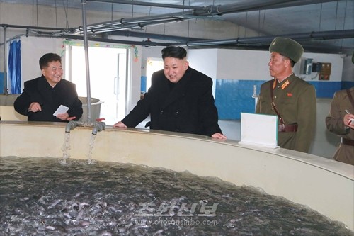 김정은원수님께서 5월9일메기공장을 현지지도하시였다.(조선중앙통신)