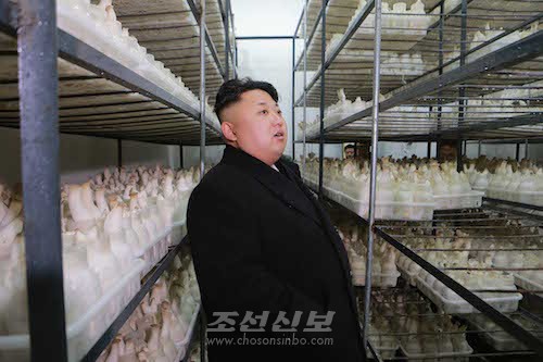 김정은원수님께서 새로 건설한 평양시버섯공장을 현지지도하시였다.(조선중앙통신)