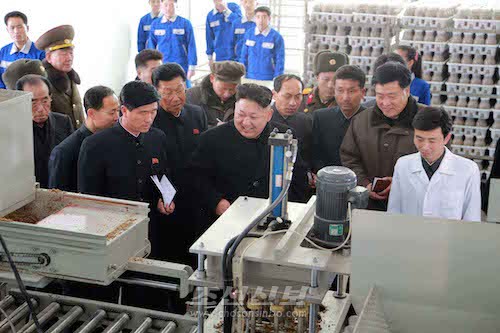 김정은원수님께서 새로 건설한 평양시버섯공장을 현지지도하시였다.(조선중앙통신)