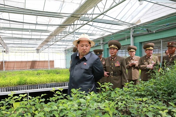 김정은원수님께서 인민군대에서 새로 꾸리고있는 종합양묘장을 현지지도하시였다.(조선중앙통신)