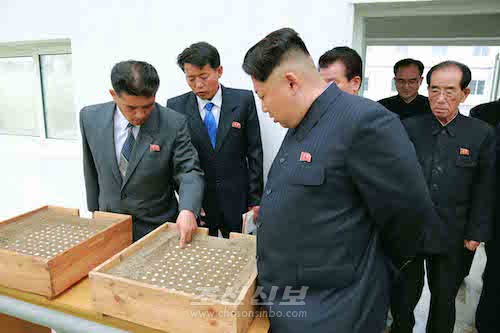 김정은원수님께서 대동강자라공장을 현지지도하시였다.(조선중앙통신)