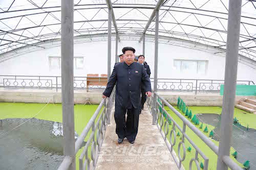 김정은원수님께서 대동강자라공장을 현지지도하시였다.(조선중앙통신)