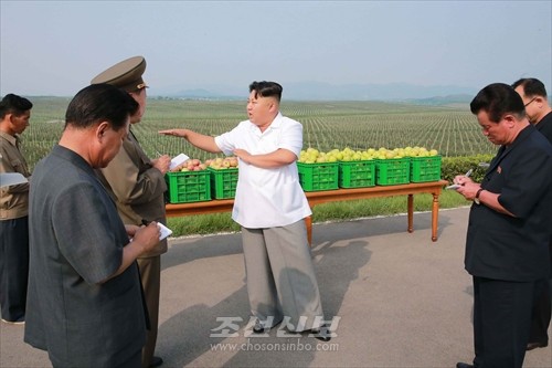 김정은원수님께서 대동강과수종합농장을 현지지도하시였다.(조선중앙통신)