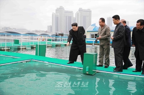 김정은원수님께서 대동강에 새로 설치한 이동식그물우리양어장을 현지지도하시였다.(조선중앙통신)