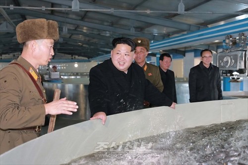 김정은원수님께서 양어의 과학화, 집약화, 공업화가 높은 수준에서 실현된 5월9일메기공장을 현지지도하시였다.(조선중앙통신)