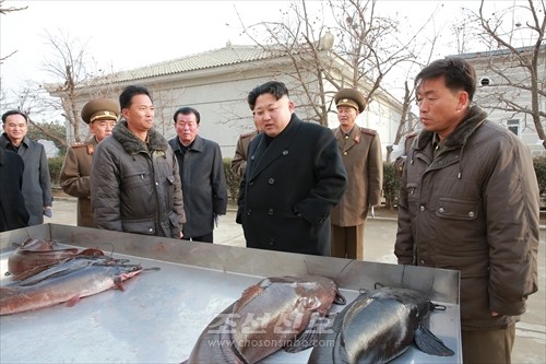김정은원수님께서 삼천메기공장을 현지지도하시였다.(조선중앙통신)