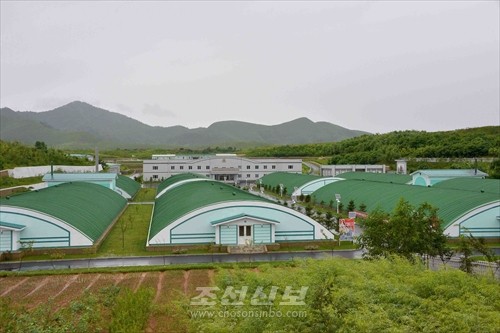 김정은원수님께서 조선의 양식공장의 본보기, 표준으로 전변된 평양자라공장을 현지지도하시였다.(조선중앙통신)
