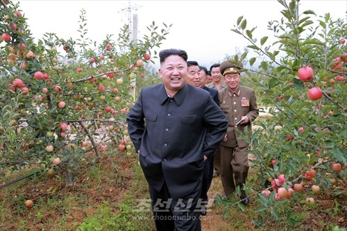 김정은원수님께서 고산과수종합농장을 현지지도하시였다.(조선중앙통신)