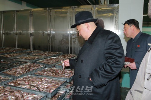 김정은원수님께서 전례없는 물고기대풍을 마련한 조선인민군 15호수산사업소를 현지지도하시였다.(조선중앙통신)